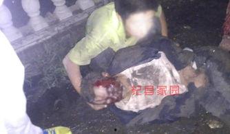 杞县邢口车祸最新爆料,悲剧现场细节披露，伤亡情况引关注