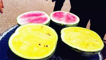 最新吃瓜爆料四川,揭秘明星幕后故事